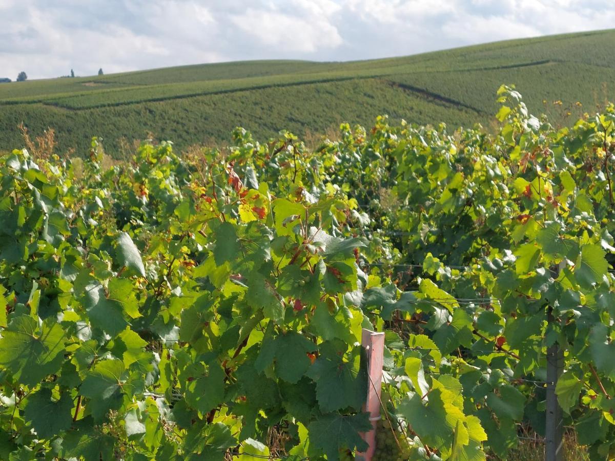 Epernay Capital De Champagne 아파트 외부 사진