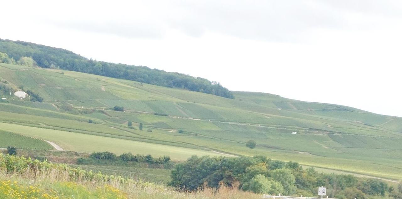 Epernay Capital De Champagne 아파트 외부 사진