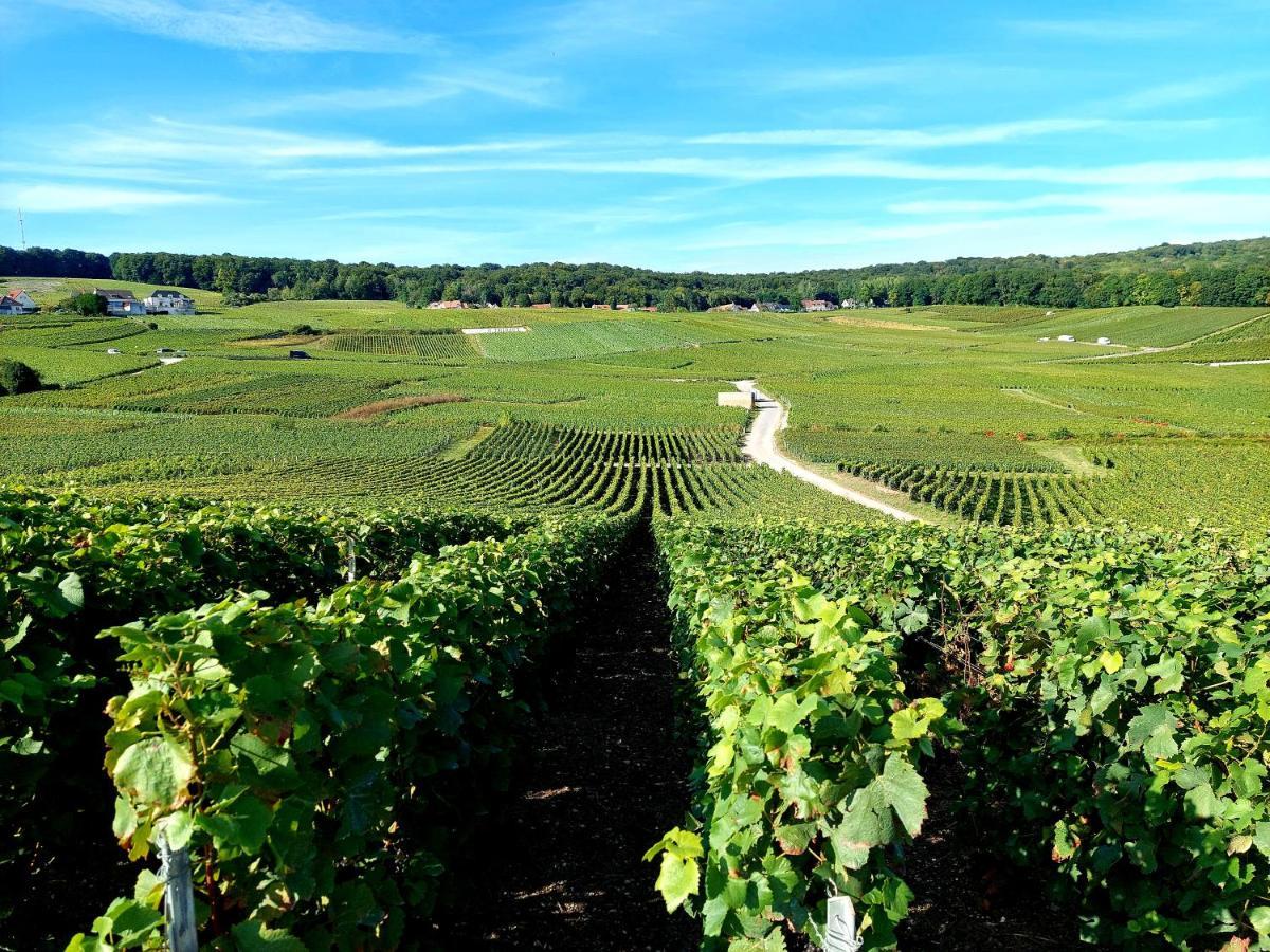 Epernay Capital De Champagne 아파트 외부 사진