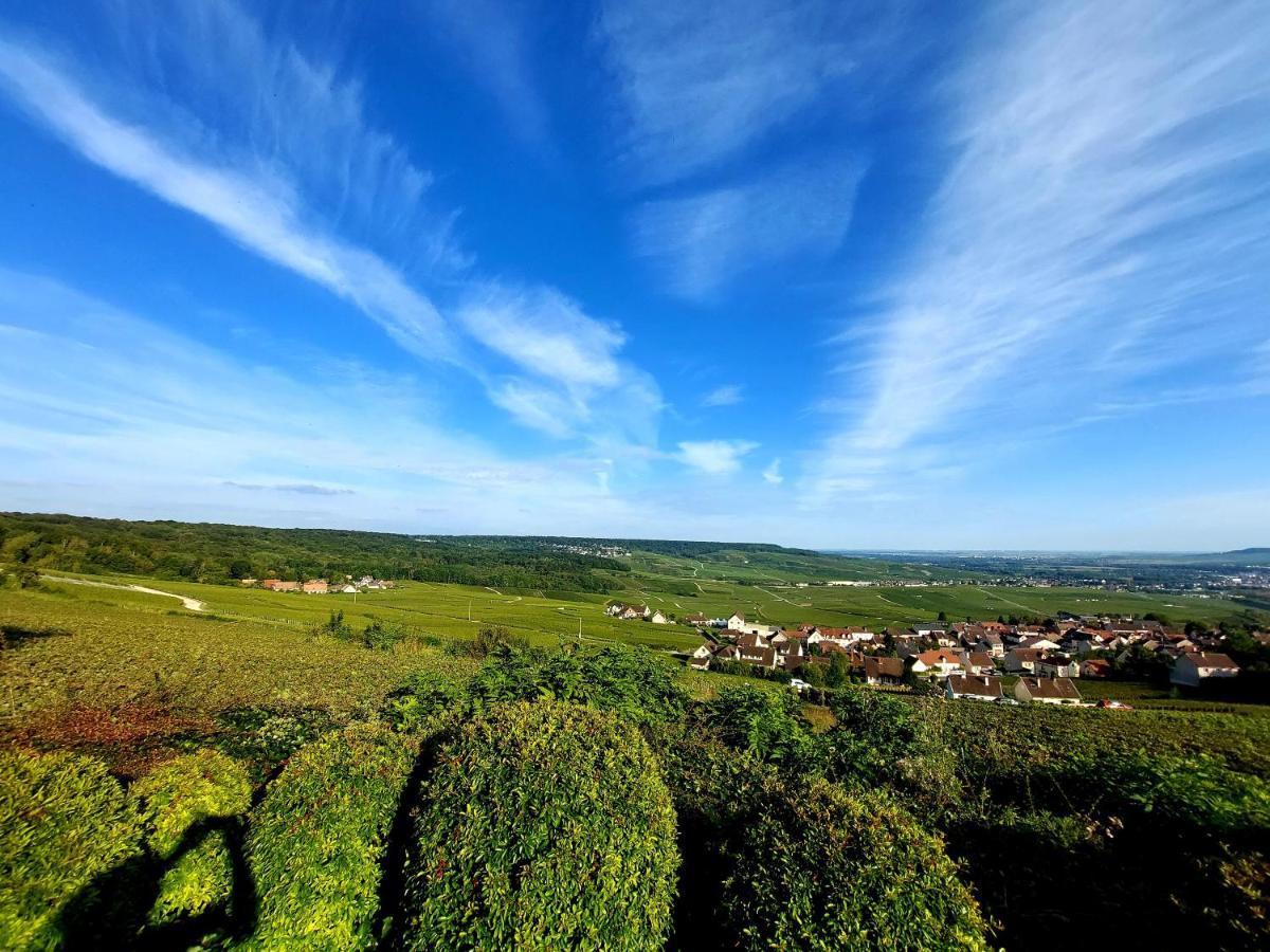 Epernay Capital De Champagne 아파트 외부 사진
