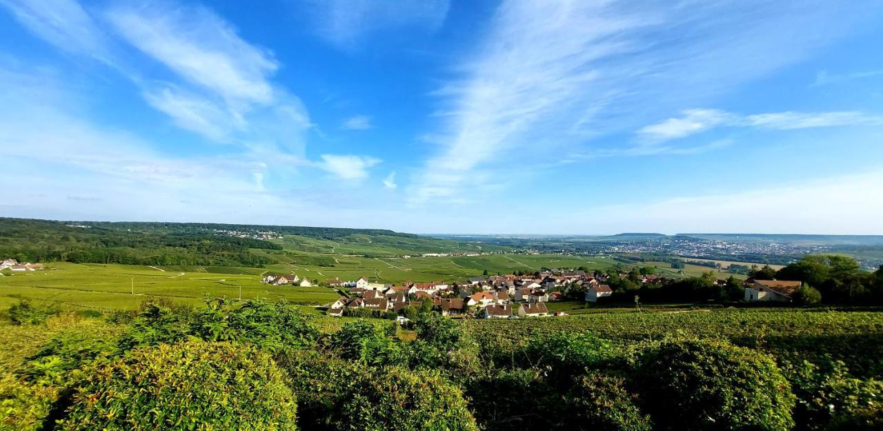 Epernay Capital De Champagne 아파트 외부 사진